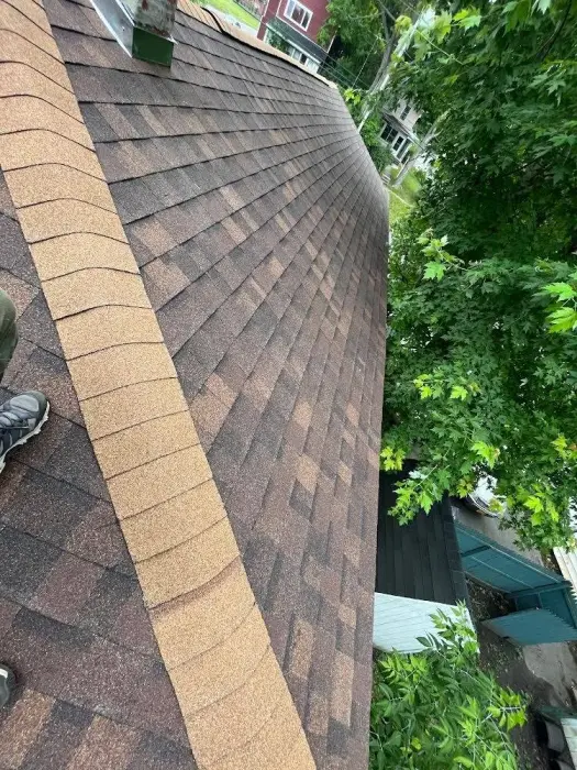 Close-up of brown asphalt shingles with a tan ridge cap.