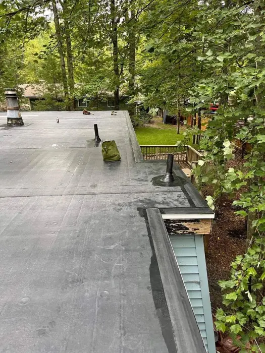 Flat gray roof surrounded by lush green forest.